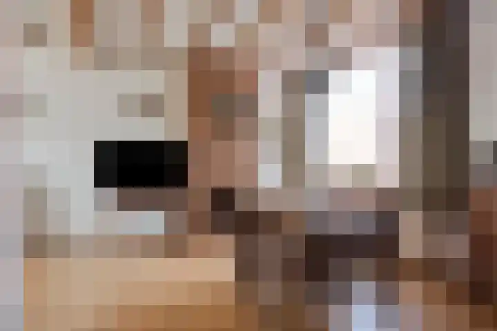 Middenstraat 83 Sluiskil thumbnail 7