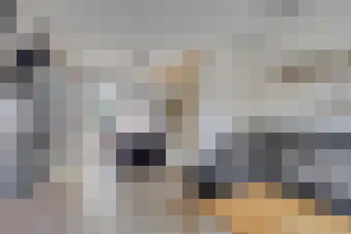 Middenstraat 96 Sluiskil thumbnail 9