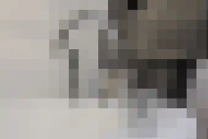 Middenstraat 98 Sluiskil thumbnail 37