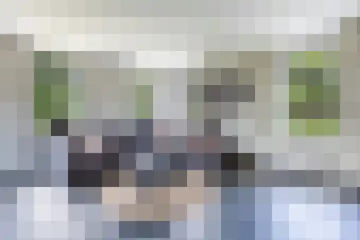Middenvaart 5 Echten thumbnail 15