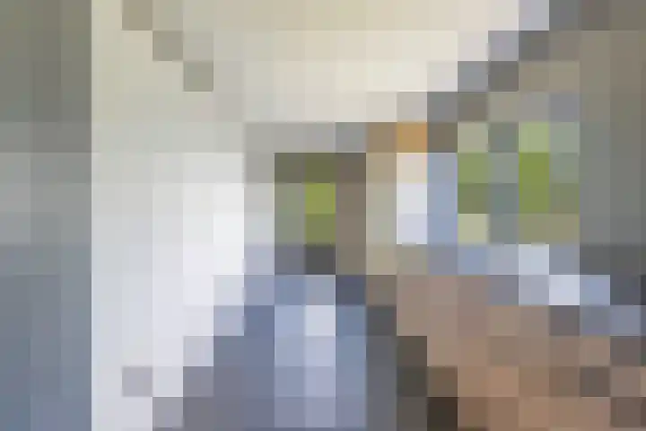 Middenvaart 5 Echten thumbnail 23