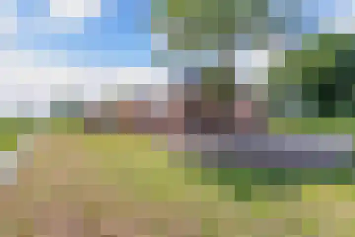 Middenvaart 5 Echten thumbnail 33