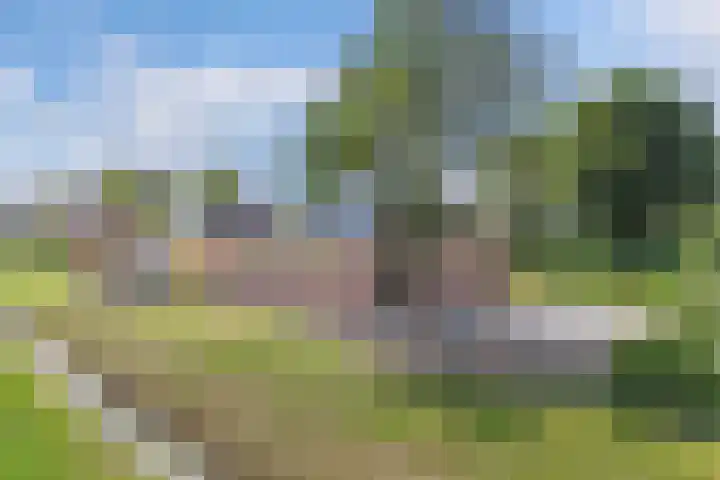 Middenvaart 5 Echten thumbnail 38