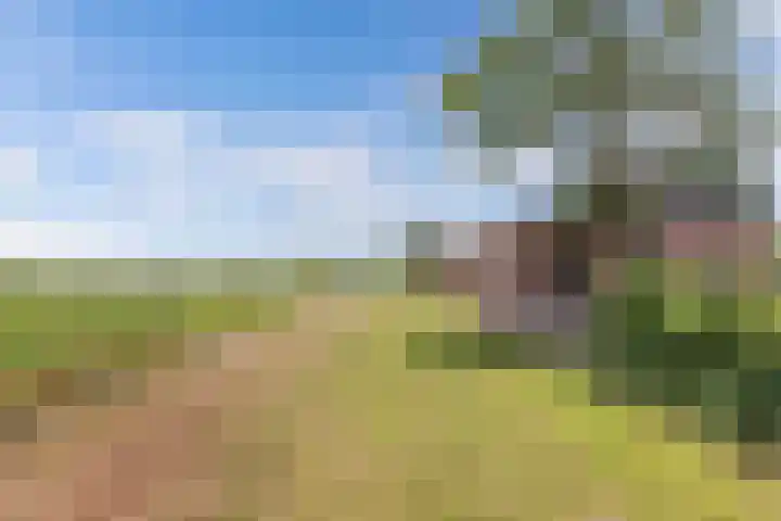 Middenvaart 5 Echten thumbnail 4