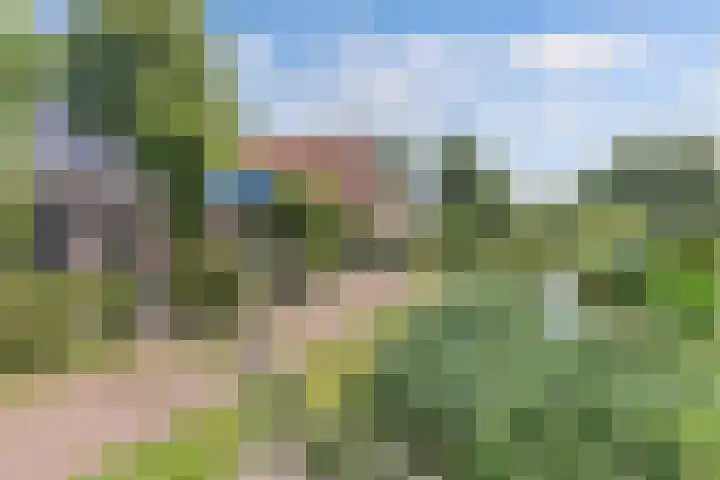 Middenvaart 5 Echten thumbnail 51