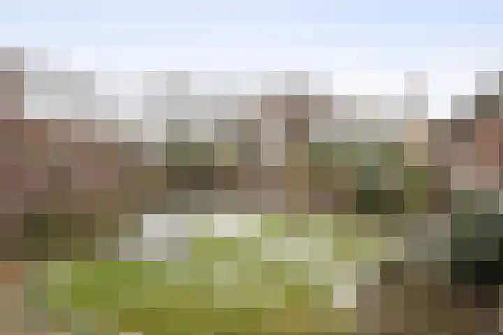 Middenveld 18 Boekel thumbnail 30