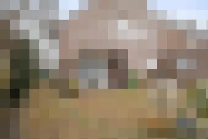 Middenveld 18 Boekel thumbnail 32