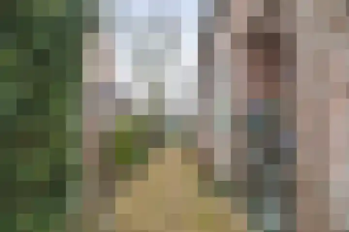 Middenveld 18 Boekel thumbnail 33