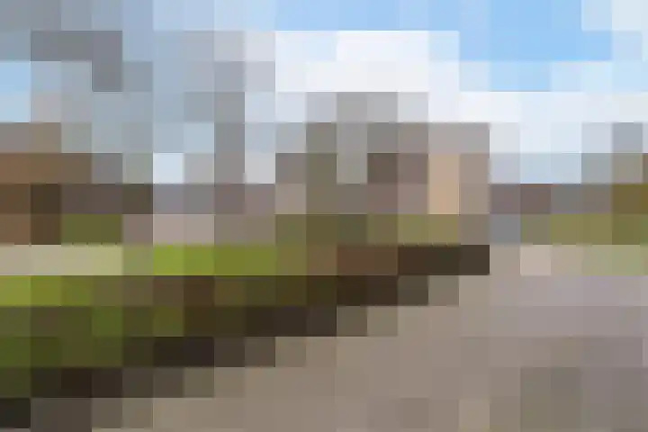 Middenveld 43 Almkerk thumbnail 25