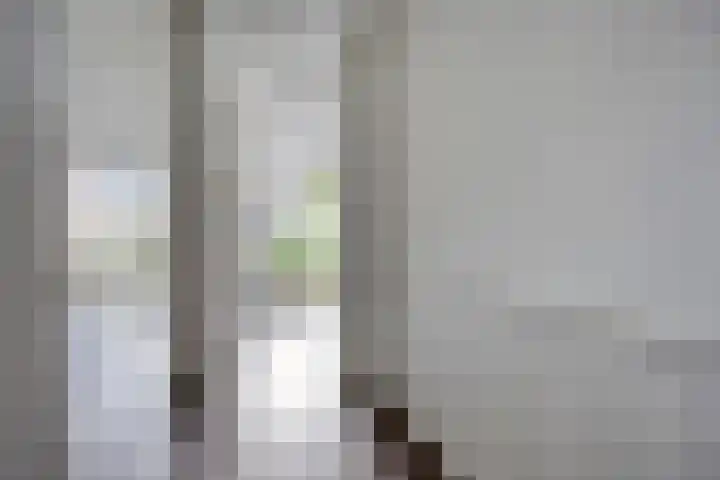 Middenveld 6 Den Dungen thumbnail 8