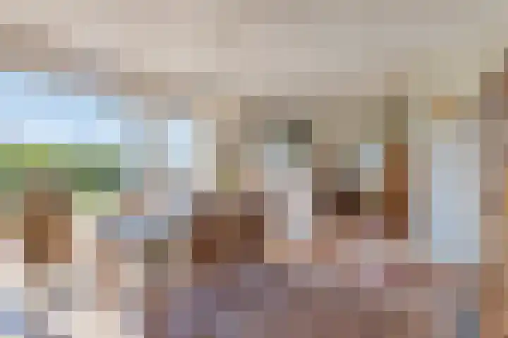 Middenwal 13 Steenbergen thumbnail 10