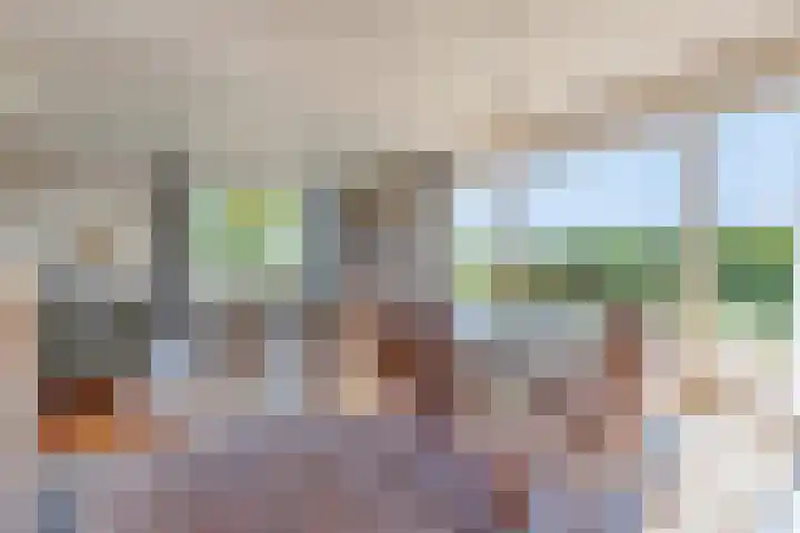 Middenwal 13 Steenbergen thumbnail 11