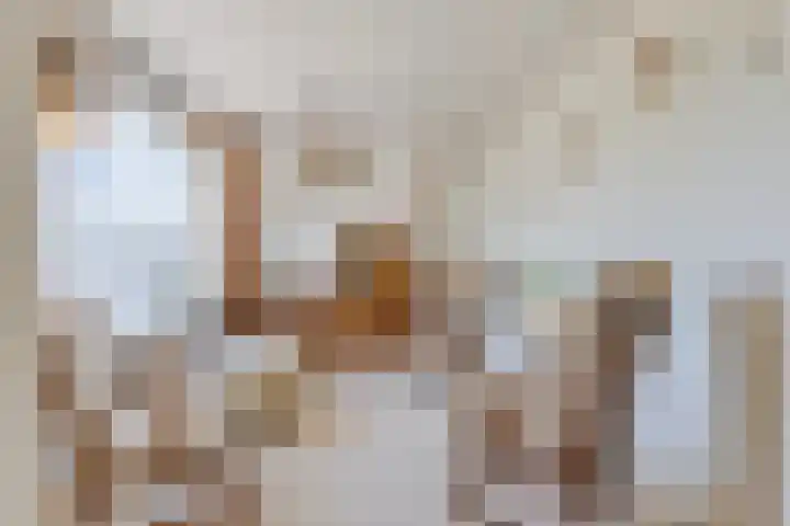 Middenwal 13 Steenbergen thumbnail 13