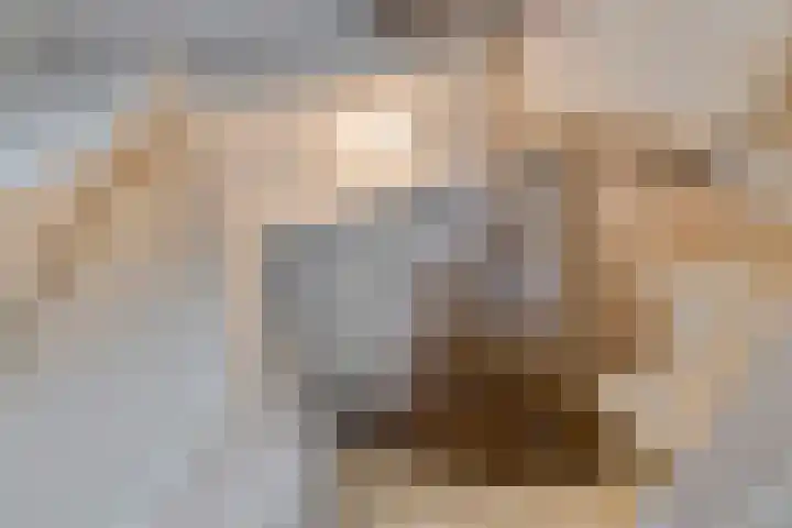 Middenwal 13 Steenbergen thumbnail 23