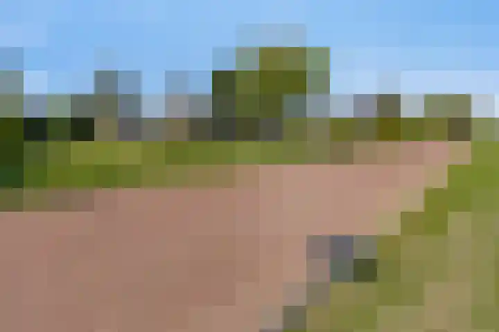 Middenwal 13 Steenbergen thumbnail 29