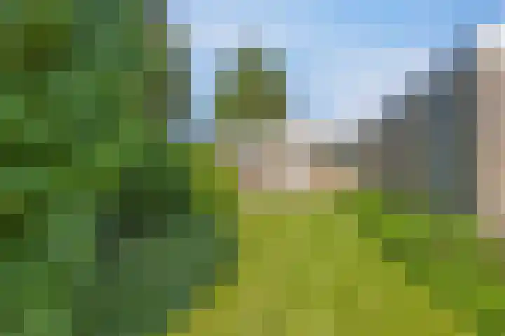 Middenwal 13 Steenbergen thumbnail 32
