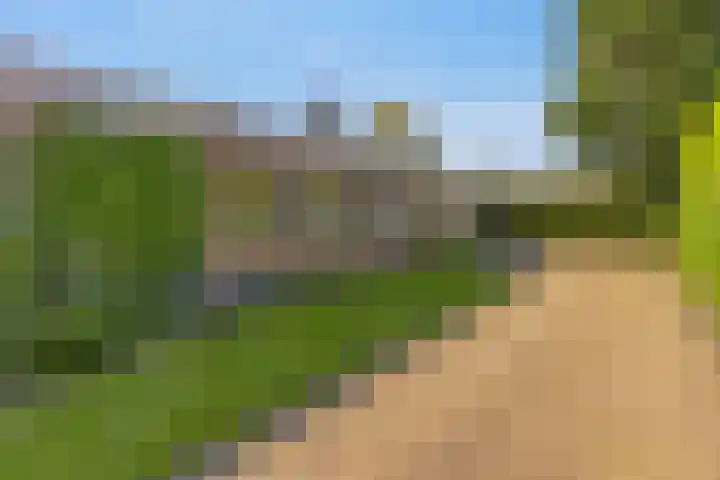 Middenwal 13 Steenbergen thumbnail 34
