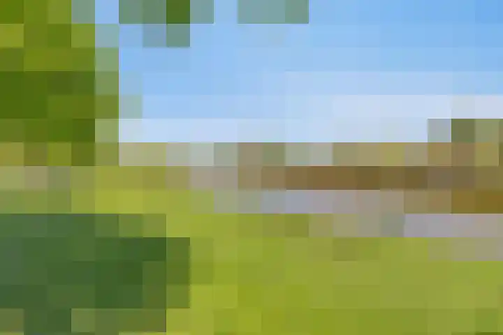Middenwal 13 Steenbergen thumbnail 38
