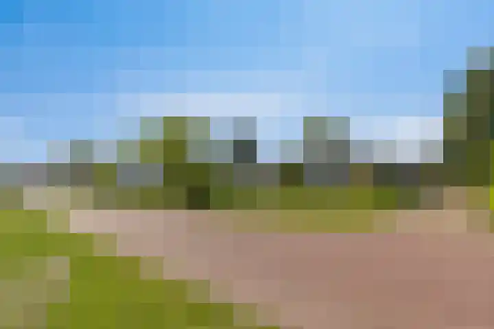 Middenwal 13 Steenbergen thumbnail 39