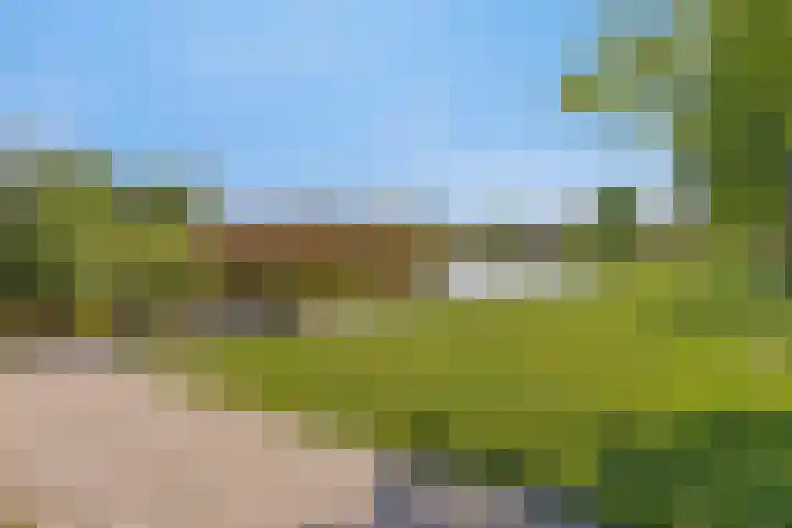 Middenwal 13 Steenbergen thumbnail 40