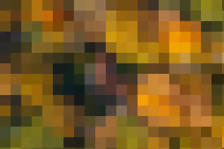 Middenweg 1 Epse thumbnail 63