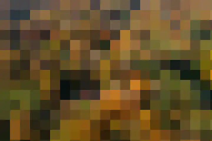 Middenweg 1 Epse thumbnail 66