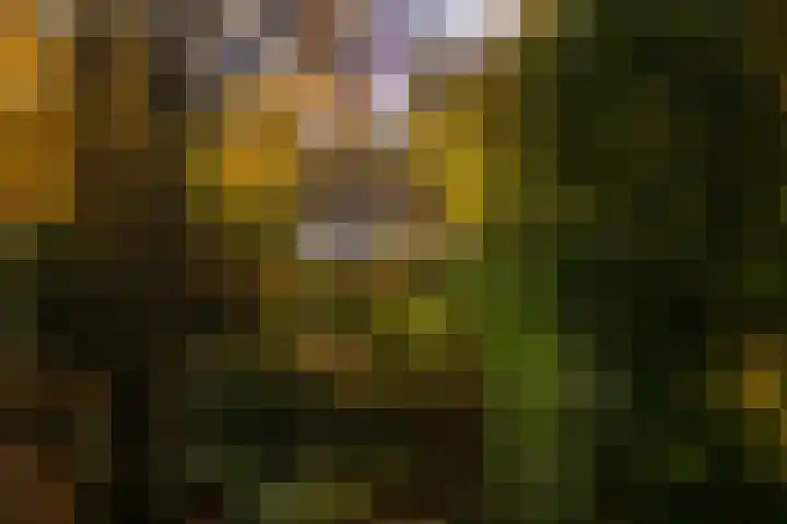 Middenweg 1 Epse thumbnail 68