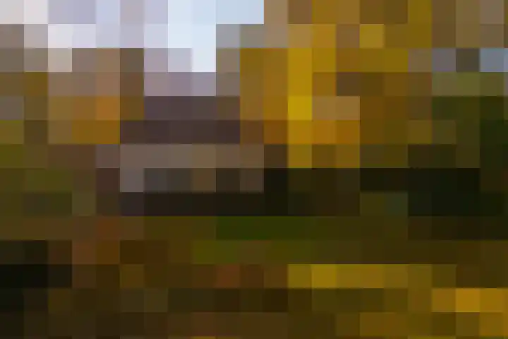 Middenweg 1 Epse thumbnail 69