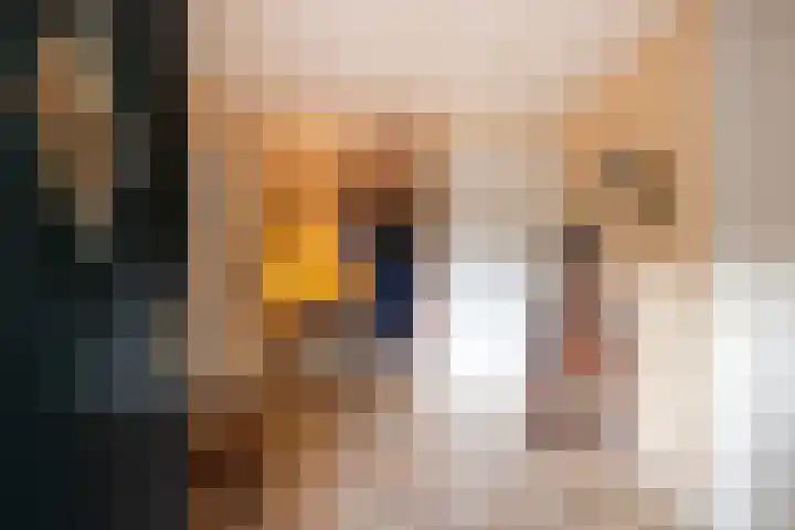 Middenweg 1 Epse thumbnail 8