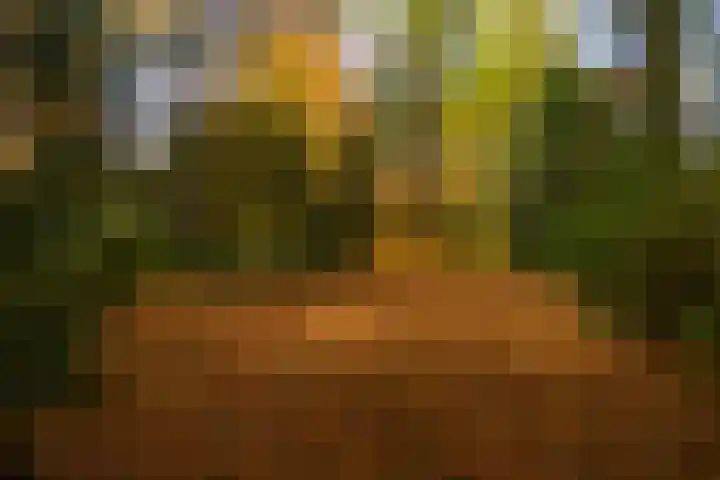 Middenweg 1 Epse thumbnail 85