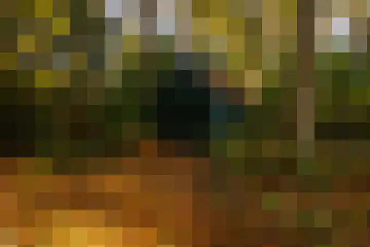 Middenweg 1 Epse thumbnail 87