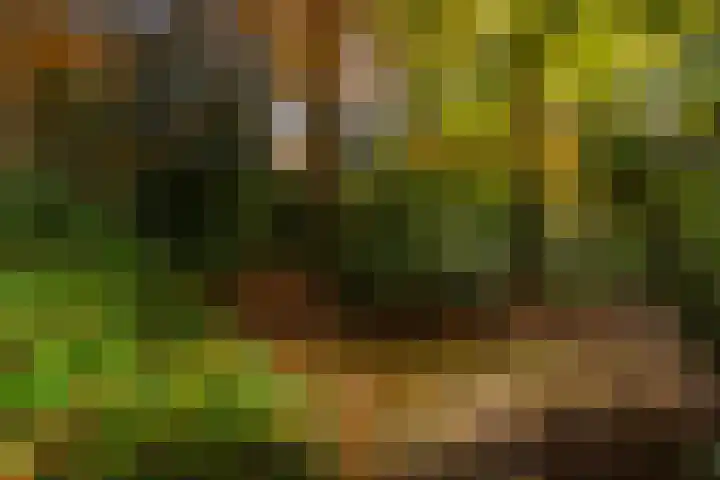 Middenweg 1 Epse thumbnail 88