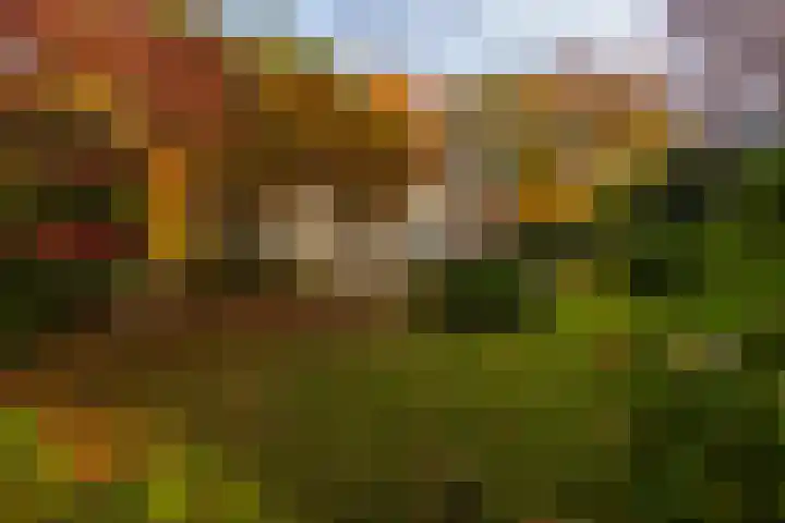 Middenweg 1 Epse thumbnail 9