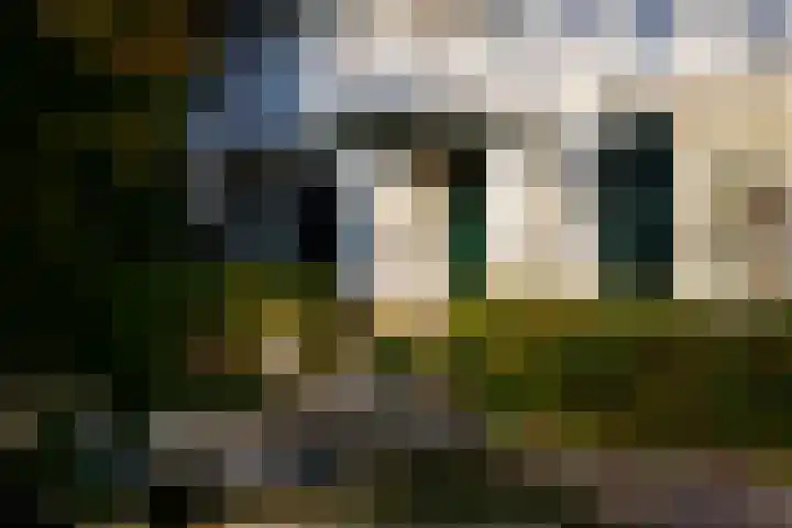 Middenweg 1 Epse thumbnail 95