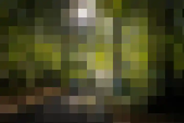 Middenweg 10 Epse thumbnail 10