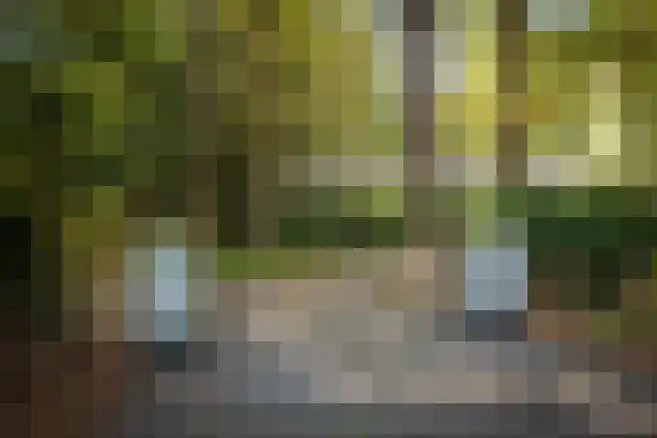 Middenweg 10 Epse thumbnail 11