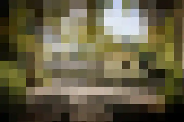 Middenweg 10 Epse thumbnail 13