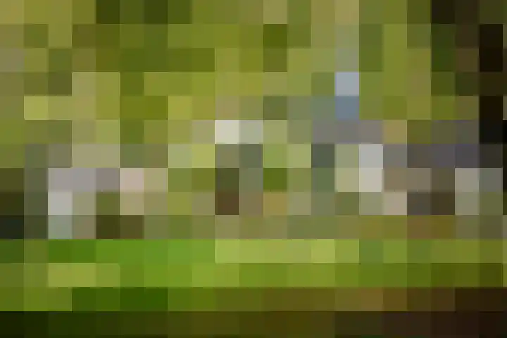 Middenweg 10 Epse thumbnail 14