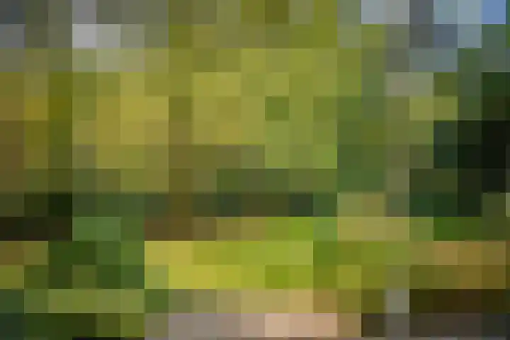 Middenweg 10 Epse thumbnail 16