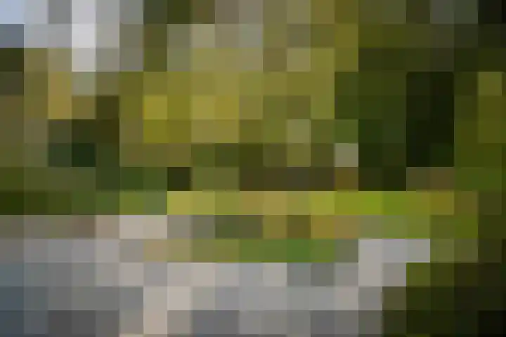 Middenweg 10 Epse thumbnail 17