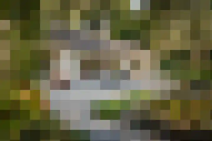 Middenweg 10 Epse thumbnail 18
