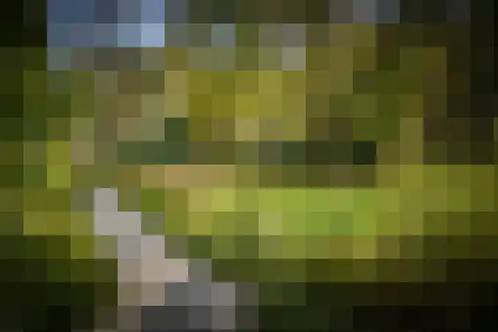 Middenweg 10 Epse thumbnail 19