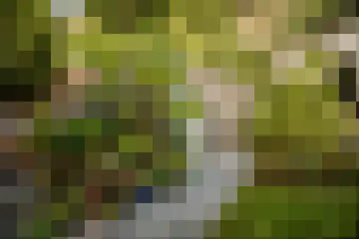 Middenweg 10 Epse thumbnail 20