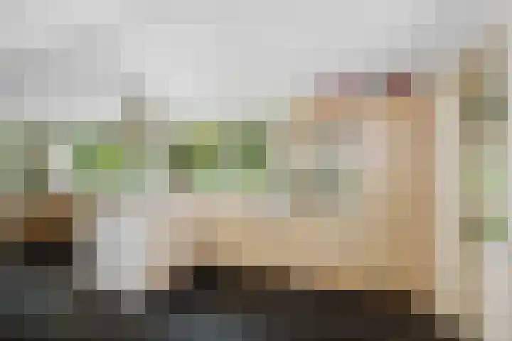 Middenweg 10 Epse thumbnail 26