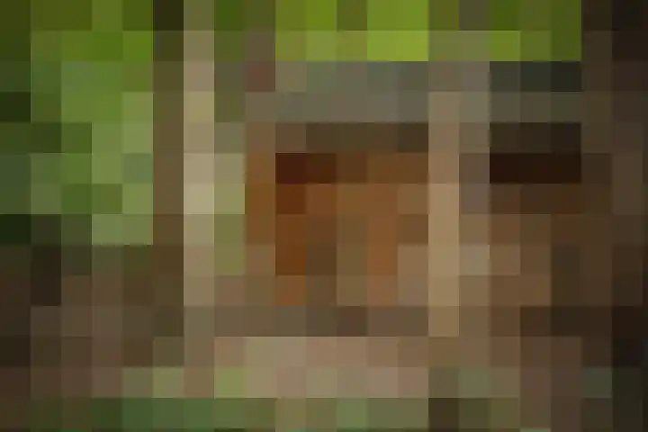 Middenweg 10 Epse thumbnail 63