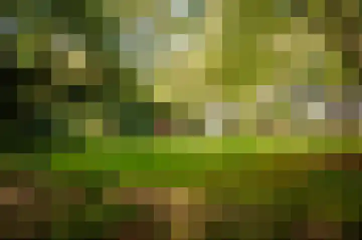 Middenweg 10 Epse thumbnail 67