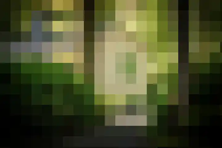 Middenweg 10 Epse thumbnail 68