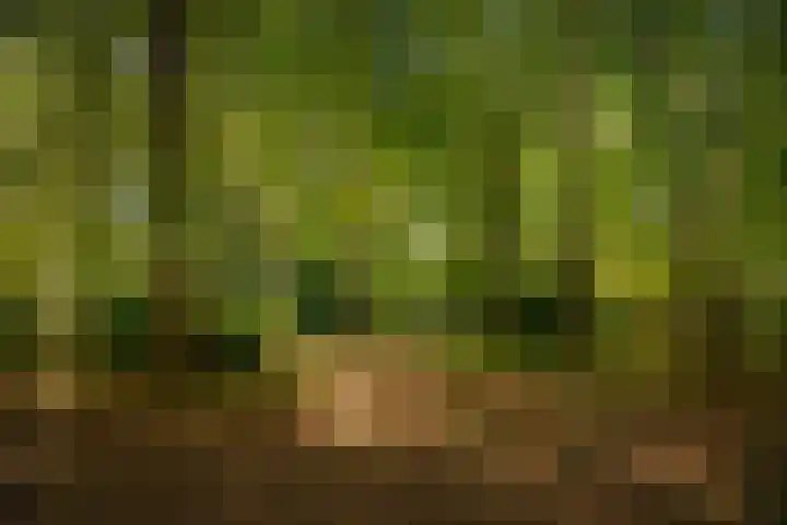 Middenweg 10 Epse thumbnail 69
