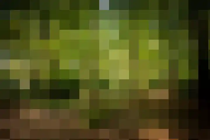 Middenweg 10 Epse thumbnail 70
