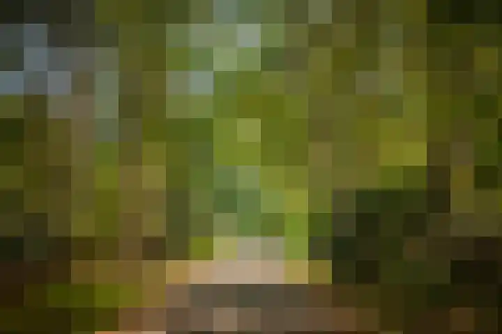Middenweg 10 Epse thumbnail 71